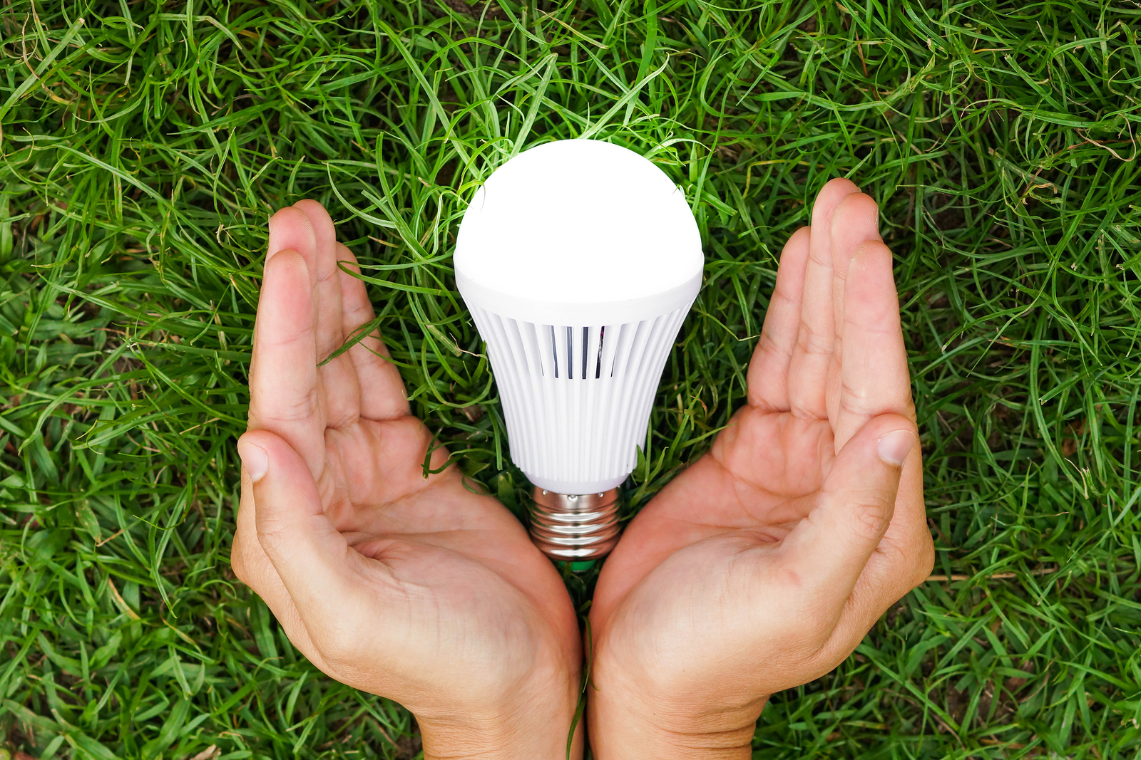 LED Energy Saving Light Bulbs